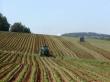 Romania detine 33% din numarul de exploatatii agricole din Uniunea Europeana