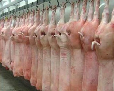 Astazi a fost semnat memorandumul cu privire la exportul de carne de porc in China