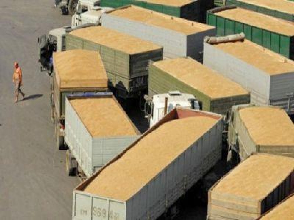Excedent de jumatate de miliard de euro din exportul de produse agroalimentare