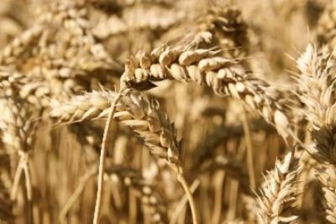 S-a dublat deficitul Romaniei in comertul cu produse agroalimentare