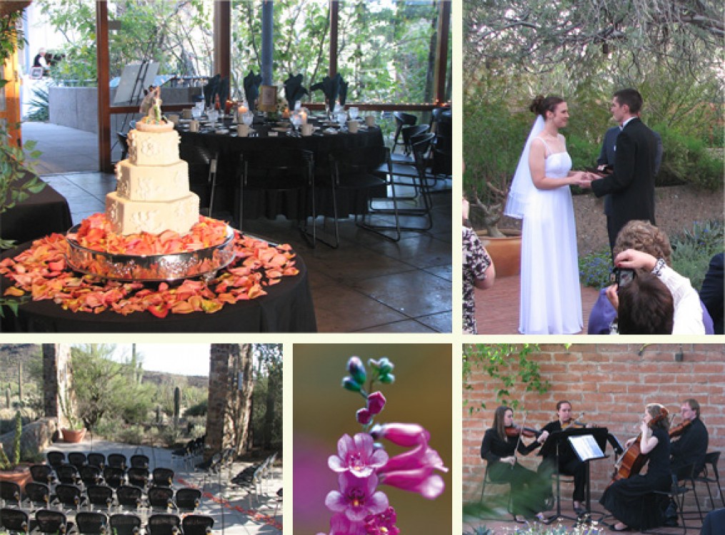 Muzeul cactusilor in aer liber: Arizona Desert Museum