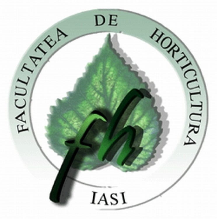 Diseara, bobocii de la Horticultura sarbatoresc in Dublin Pub