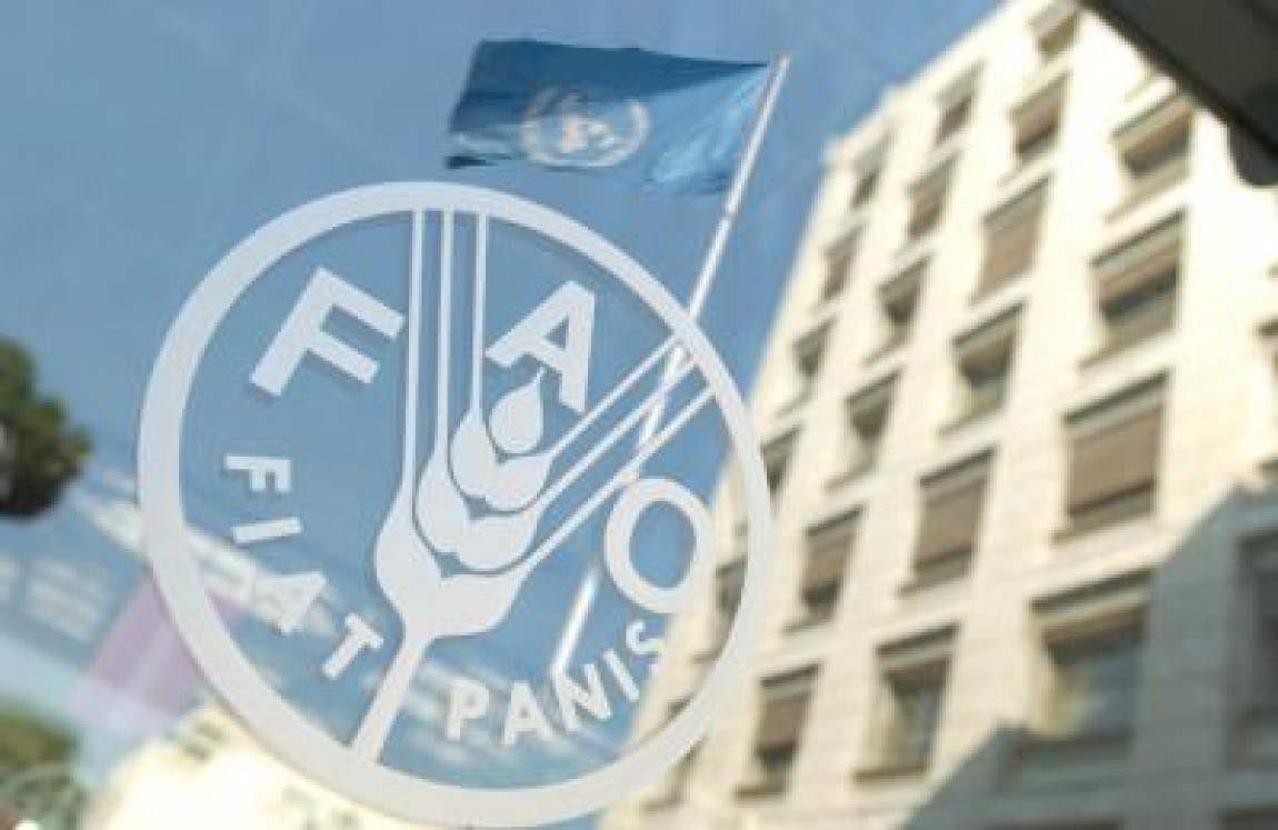 Expertii FAO spun ca pretul alimentelor a scazut in luna noiembrie, pe plan mondial