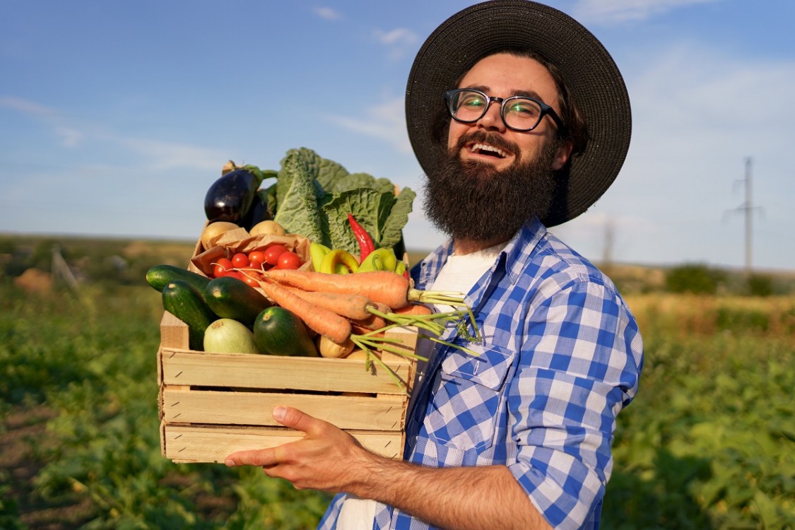 Cum alegem terenul potrivit pentru infiintarea unei plantatii legumicole
