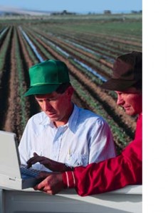 Studiu de piata: Fermierii, interesati de pretul cerealelor si de pretul inputurilor - seminte, ingrasaminte, pesticide