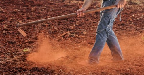Mugur Isarescu: Faramitarea proprietatilor agricole, lipsa sistemelor de irigatii si forta de munca insuficienta si necalificata, principalele probleme in calea dezvoltarii agriculturii