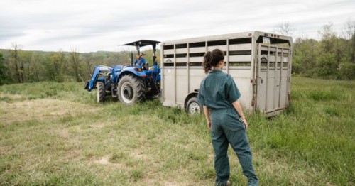 Sprijin de 250 de milioane de euro pentru tinerii fermieri