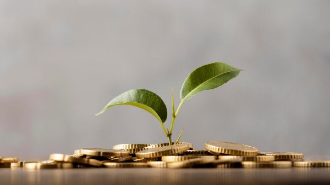 MADR aloca peste jumatate de milion de euro pentru programul INVESTALIM