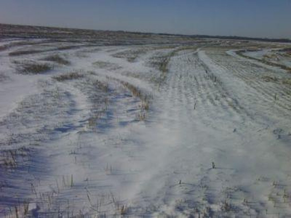 Buletin agrometeorologic pentru perioada 18-23 februarie