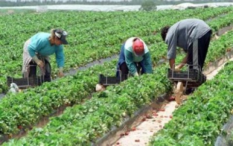 Proiect de combatere a discriminarii femeilor din mediul rural