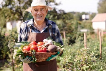 Veste buna pentru fermierii romani! AFIR a autorizat si platit 117 milioane de euro