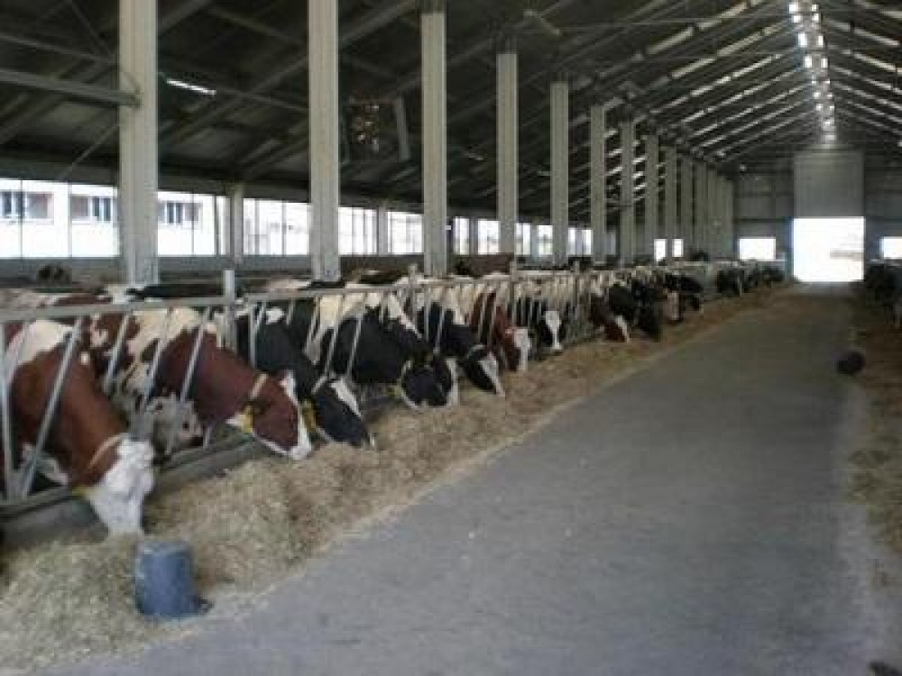 Solutii pentru accesarea finantarii europene in vederea infiintarii unei exploatatii zootehnice