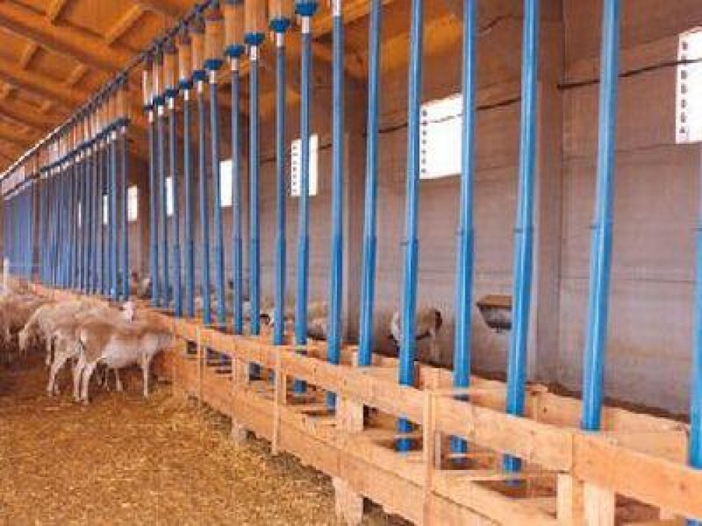 Modalitati de accesare a finantarilor  europene pentru infiintarea unor ferme zootehnice