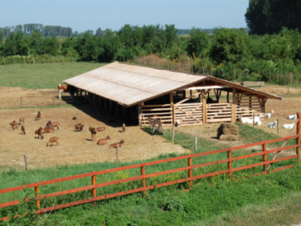 Fondurile pentru finantarea micilor ferme si a fermelor de familie s-au epuizat