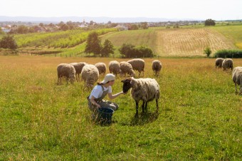 Sprijin de 75.000 euro pentru micii fermieri