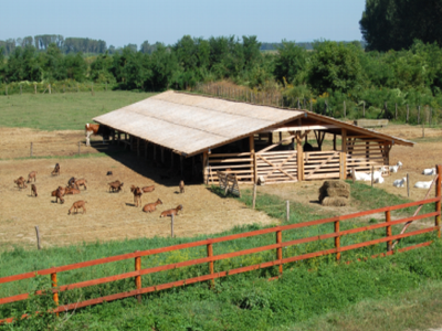 Daniel Constantin: Fondurile europene vor fi canalizate in special catre fermele de familie