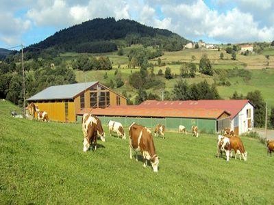 O treime din gospodariile agricole din Uniunea Europeana sunt in Romania
