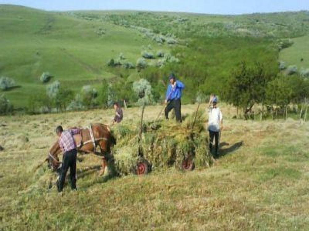 Viitorul fermelor de familie dezbatut intr-o conferinta la nivel inalt, la MADR