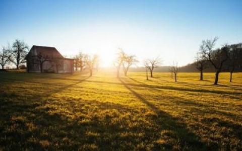 Secretar de stat: Fermele mici trebuie transformate in ferme integrate