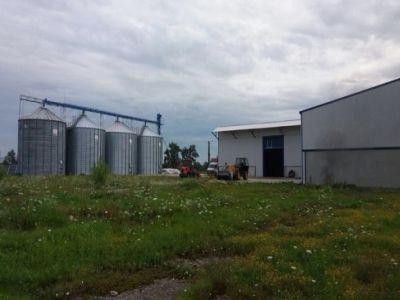 Proiecte tip pentru ferme si silozuri, cu finantare prin PNDR