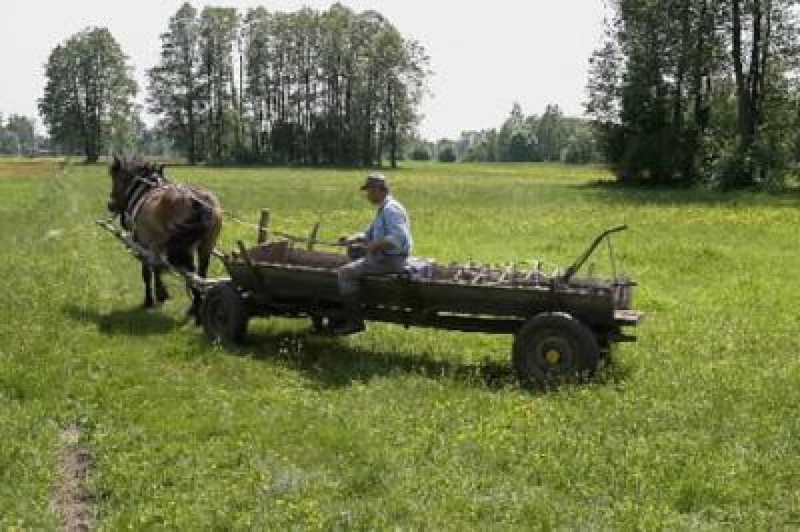 Micii fermieri: ori comasare, ori agricultura ecologica