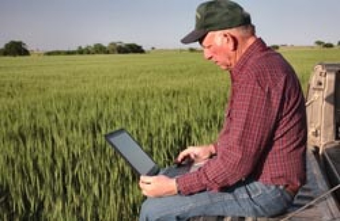 Agricultura asistată de computer. Modele de simulare a creşterii plantelor şi de prognoză a recoltelor