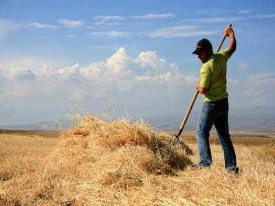 Solicitari de 256 milioane de euro pentru dezvoltarea fermelor mici prin PNDR 2020