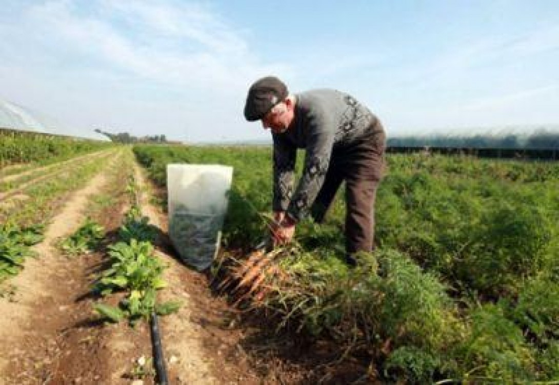 Romania, un paradis agricol imbatranit