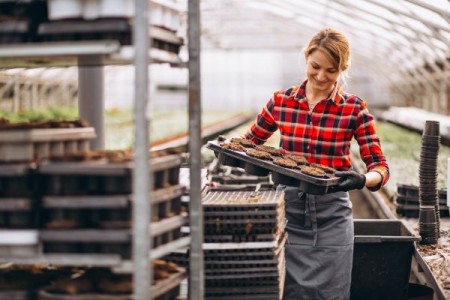 Programul Femeia Antreprenor: Conditii pentru punctajul maxim