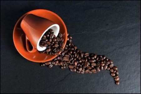 Fermierii americani au inceput sa cultive cafea
