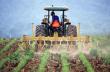 PAC si PEE vor transforma agricultura romaneasca