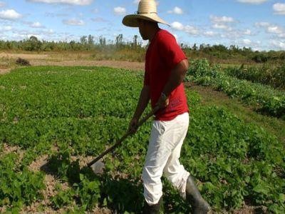 Ce contine ghidul solicitantului pentru tinerii fermieri