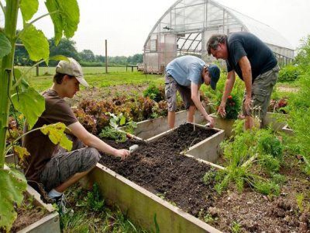 Stimulente financiare pentru atragerea tinerilor catre sectorul agricol