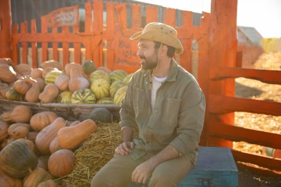 UE: Fermierii sunt obligati sa respecte anumite cerinte privind conditionalitatea sociala