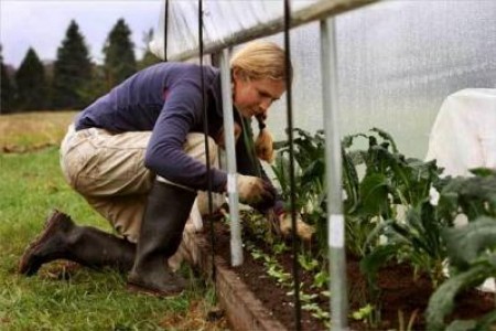 Modificari ale procedurilor de contractare si plata aferente Masurii 112 - Instalarea tinerilor fermieri