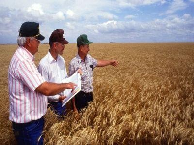 Peste 90% dintre fermierii romani sunt trecuti de 40 de ani