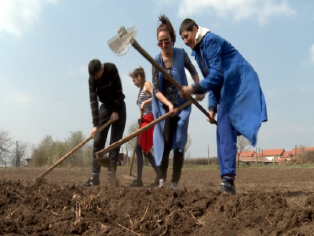 Sprijinul pentru instalarea tinerilor fermieri se apropie de nivelul maxim alocat