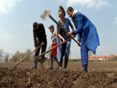 Sprijinul pentru instalarea tinerilor fermieri se apropie de nivelul maxim alocat