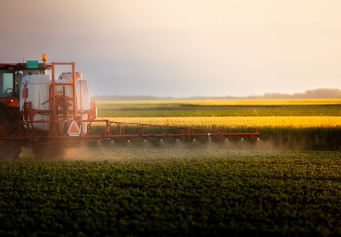 Ce are solul, ce cere cultura si ce trebuie completat pentru recolte bogate, de calitate: logica unui plan de fertilizare corect
