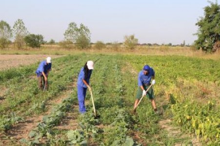 AAC: Agricultura trebuie declarata sector strategic, de siguranta nationala
