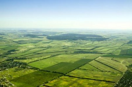 Senatul a votat Recensamantul general agricol pentru 2020
