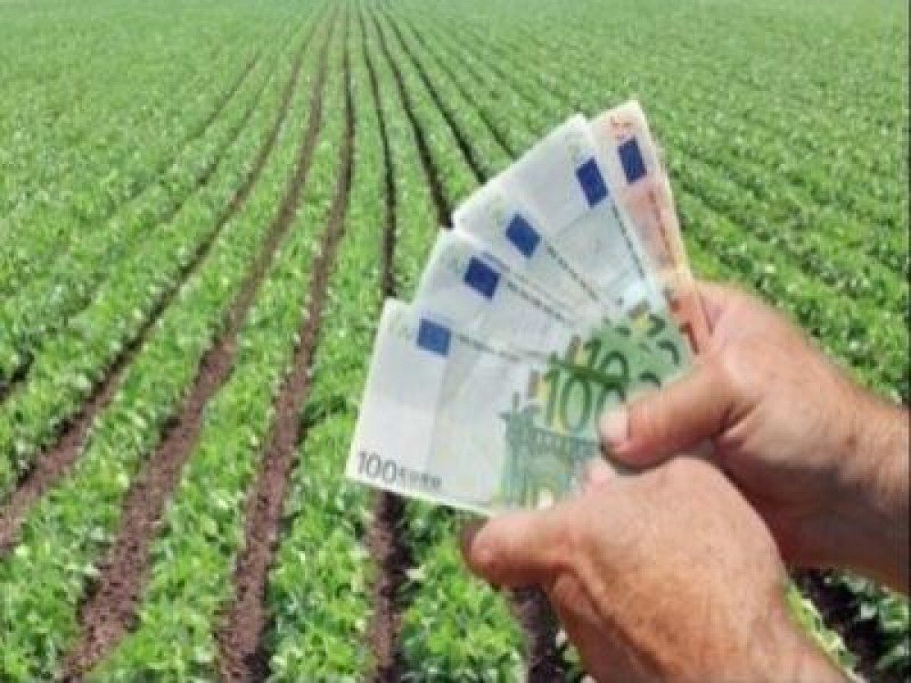 Aproape 1,6 milioane de euro pentru plata fermierilor, atrasi din bani europeni pana la sfarsitul lunii
