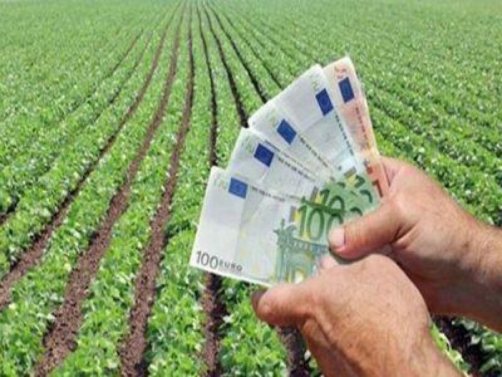 Noi prevederi pentru achizitiile derulate de beneficiarii publici ai PNDR 2020