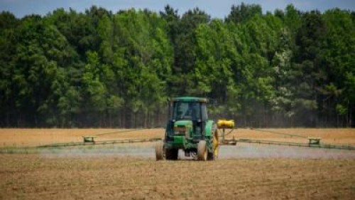 MADR: Noi reglementari fitosanitare pentru produsele vegetale