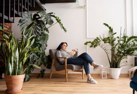 Top cele mai raspandite flori de apartament
