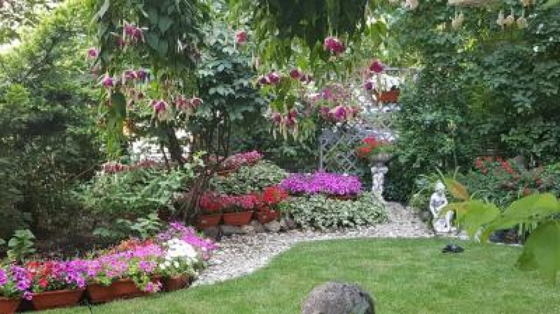 Flori care pot fi plantate vara