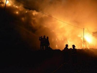 Apel la solidaritate pentru un fermier care si-a pierdut oile intr-un incendiu