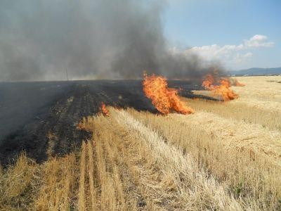 Recomandari de la pompieri pentru evitarea incendiilor pe camp