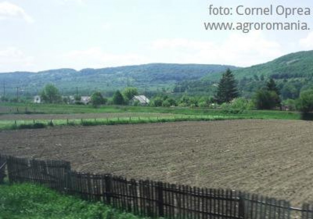 Cat s-a dat si cat mai e de luat din punga fondurilor europene pentru agricultura