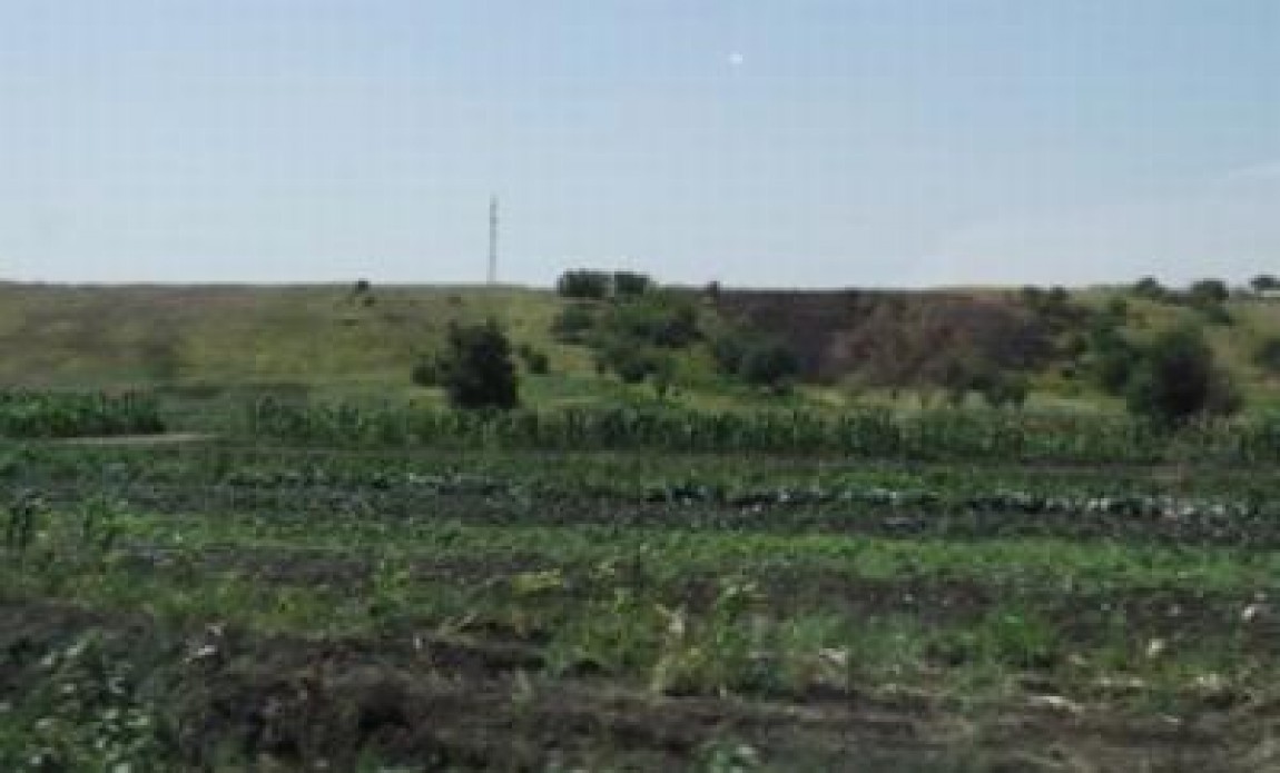 Fondurile europene destinate fermelor familiale vor veni in luna iunie